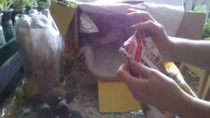 Распаковка посылки с комнатными растениями unboxing