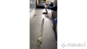 Послушания сестер.Задонский женский монастырь.