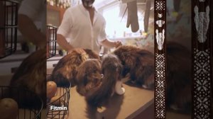 🔴Чешский бренд Fitmin корма СУПЕРПРЕМИУМ класса