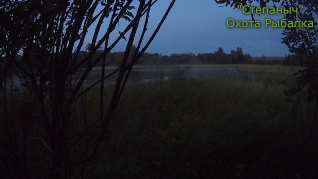 Вечеровка на озерах (Охота на уток) 18 08 20 смотреть онлайн