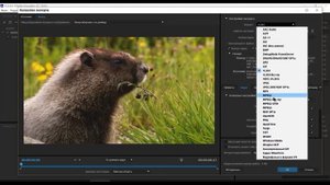 Рендеринг из программы After Effects с помощью Media Encoder