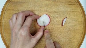 Бабочка из Редиски! Butterfly of radish!