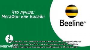 Что лучше для абонента: Мегафон или Билайн?