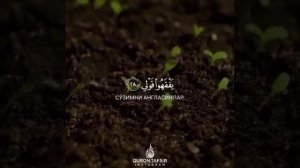 Дуа Мусы Робиш Рохли Содри