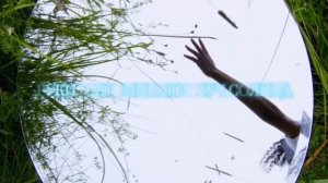 Стихотворение Алексея Старикова «Мама и Родина очень похожи…»