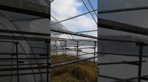 Выращивание клубники в теплице, малообъемная технология (видео 2)