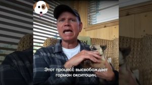 Хозяин в состоянии дзен и злая собака-антистресс #юмор #смех #смешно #собака #дзен #антистресс