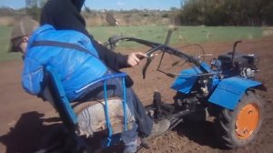 Посадка кукурузы мотоблоком