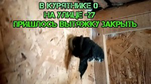 ВЫТЯЖКА В КУРЯТНИКЕ НА УЛИЦЕ -27- HOOD IN THE CHICKEN COOP ON THE STREET -27