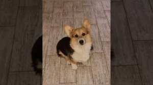 минус песни я злодей