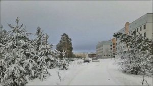 Мулино зимой