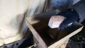 как быстро выбить подсолнух