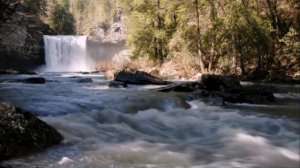 Белый Парус Нашей Любви