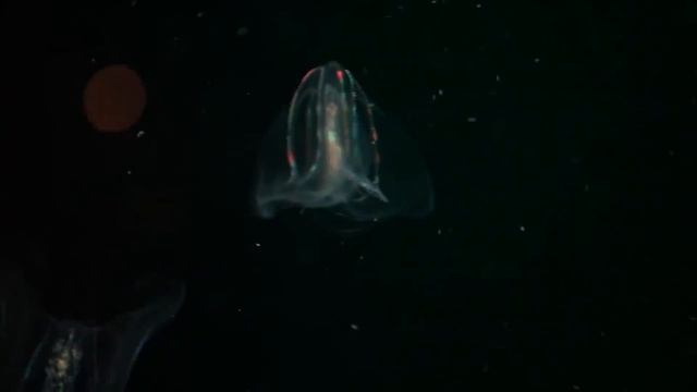 Достопримечательности Валенсии - что смотреть, где остановиться, куда поехать смотреть онлайн