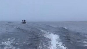 Orionboat 49 fish