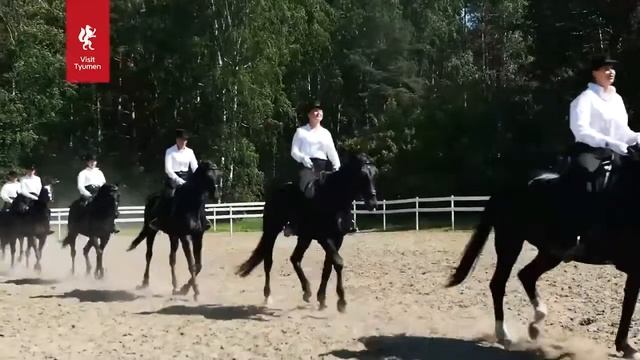 Аллегро | Конный клуб смотреть онлайн