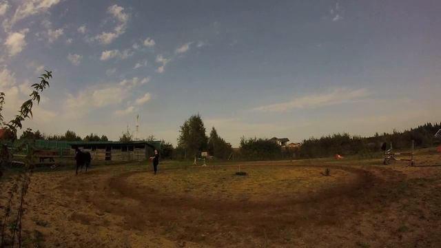 Работа ленивой лошади на корде с гоупро 18-09-2017