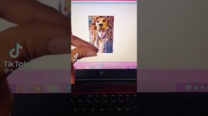 Подборка видео Гарри Поттера из тик тока