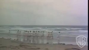 Chariots of Fire - Original Theatrical Trailer