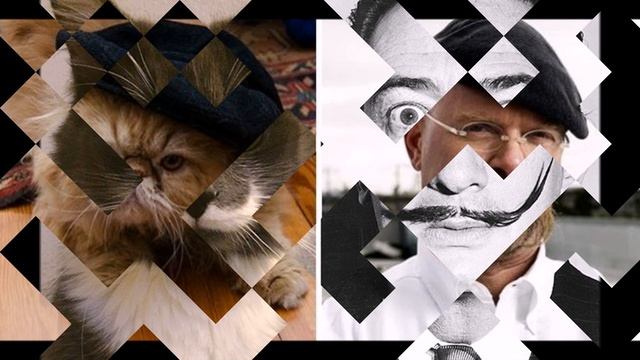 25 смешных котов, в которых вы без труда узнаете известных личностей! смотреть онлайн