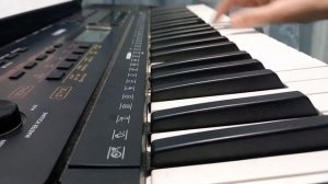 ГАРРИ ПОТТЕР на СИНТЕЗАТОРЕ