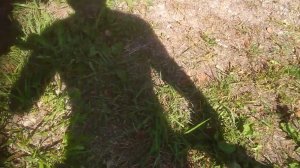 Авто сцепка для прицепа мотоблока с адаптером АК1.