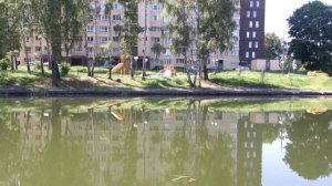 Комиссаровский пруд на улице Набережная в городе Мытищи