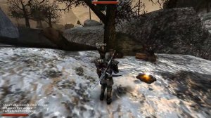 [11/13] 2H=1H=390 Dmg / Gil = Pal / Gothic II: NotR DE