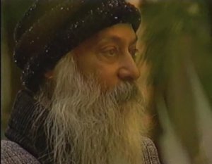 Медитация – искусство экстаза (1996)