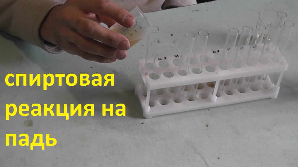 пытаюсь определить причину мартовских испражнений в улье смотреть онлайн