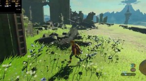 Zelda: Breath of the Wild, 120FPS, ULTRAWIDE, RTX 4090, Ryzen 7800X 3D