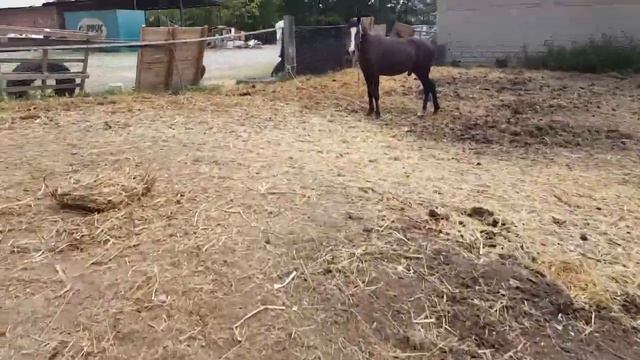 ПРоВерКа на ЖеREбость // общение с подружками смотреть онлайн