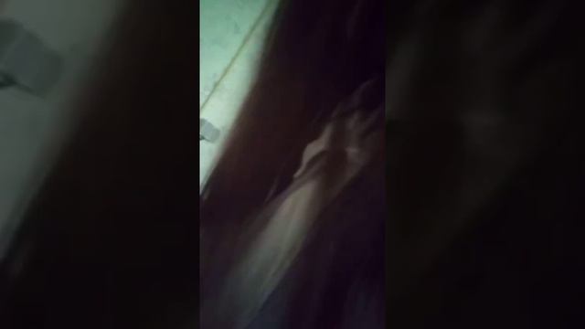 Василиса пушистый зайчик смотреть онлайн