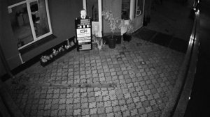 Камера HiWatch DS-T503 (2.8) мм ночной режим (демо запись)