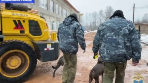 Псковские полицейские выявили иностранных граждан, незаконно осуществляющих трудовую деятельность