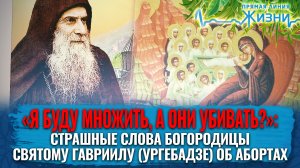 «Я БУДУ МНОЖИТЬ, А ОНИ УБИВАТЬ?»: СТРАШНЫЕ СЛОВА БОГОРОДИЦЫ СВЯТОМУ ГАВРИИЛУ (УРГЕБАДЗЕ) ОБ АБОРТАХ