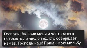 Мухаммад Аюб (Красивое чтение Корана)