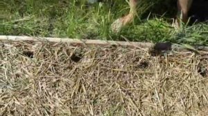 Применение посадочного конуса в деле (2).