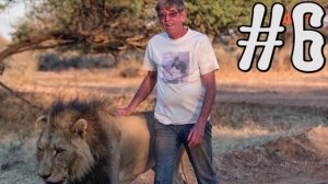 10 Смертельно опасных животных которые живут с человеком