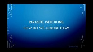 Intestinal Parasites: Definitions, Types, and How We Can Avoid Them.