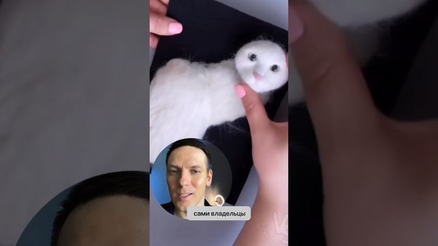 Киски нравятся?