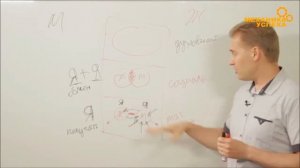 Духовный уровень отношений мужчины и женщины ( Максим Савенков )