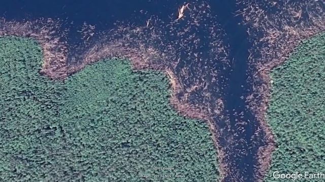 Вырубка леса в Сибири - вид из космоса! смотреть онлайн