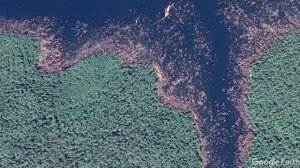 Вырубка леса в Сибири - вид из космоса!