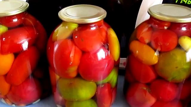 Помидоры соленые смотреть онлайн