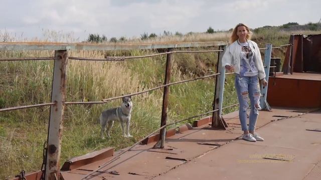 Заброшенная баржа в Ершовке смотреть онлайн