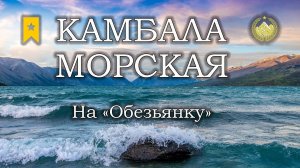 ✮ Норвежское море ✮ Камбала морская на "Обезьянку" ✮ Русская рыбалка 4 ✮