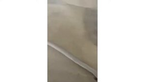 Промышленный пылесос для уборки зерновой пыли - пылесосы Дастпром - КИИТ