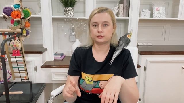 ПРИЧИНЫ СУХОГО СЛОЯЩЕГОСЯ КЛЮВА И ЛАП У ПОПУГАЕВ КАК ВЫБРАТЬ УВЛАЖНИТЕЛЬ ВОЗДУХА