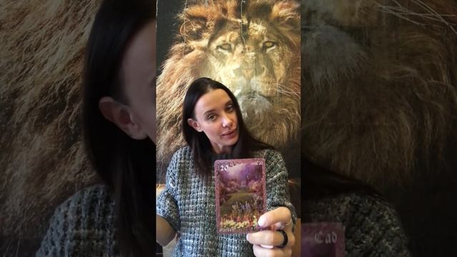 Значение карт «Сад» и «Гора» в колоде Ленорман. Подробное описание по сферам